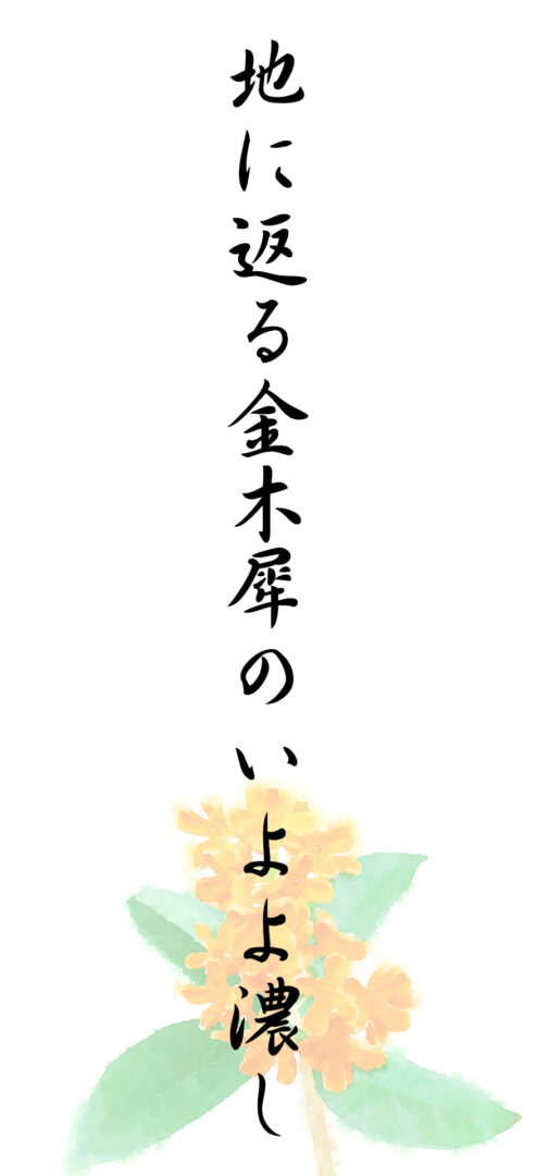 地に返る金木犀のいよよ濃し