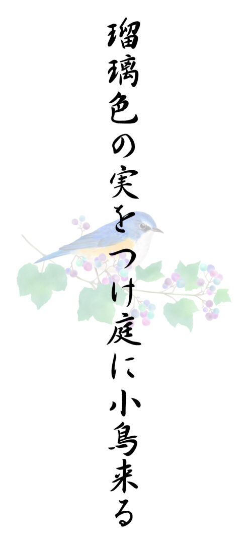 瑠璃色の実をつけ庭に小鳥来る