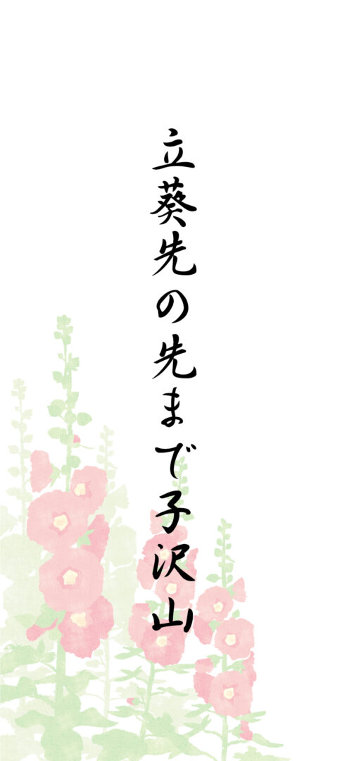 立葵先の先まで子沢山