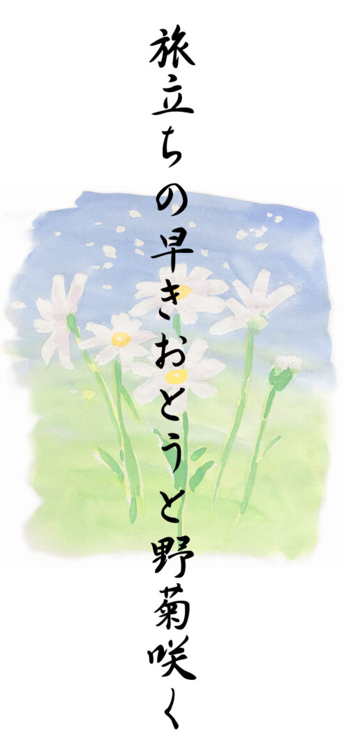 旅立ちの早きおとうと野菊咲く