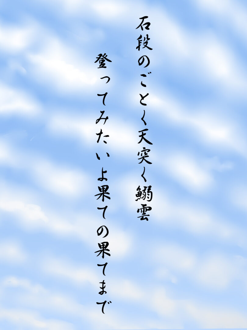 石段のごとく天突く鰯雲 登ってみたいよ果ての果てまで