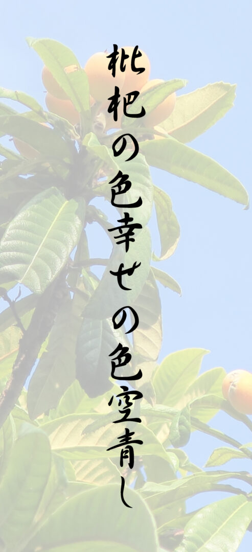 枇杷の色幸せの色空青し