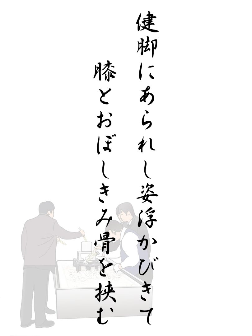 健脚にあられし姿浮かびきて 膝とおぼしきみ骨を挟む