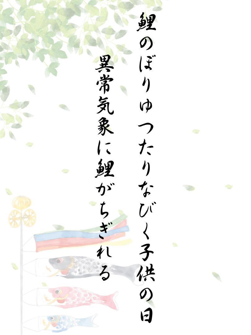 鯉のぼりゆつたりなびく子供の日 異常気象に鯉がちぎれる