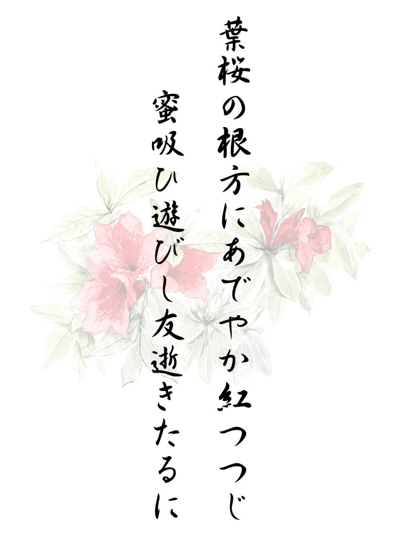 葉桜の根方にあでやか紅つつじ 蜜吸ひ遊びし友逝きたるに