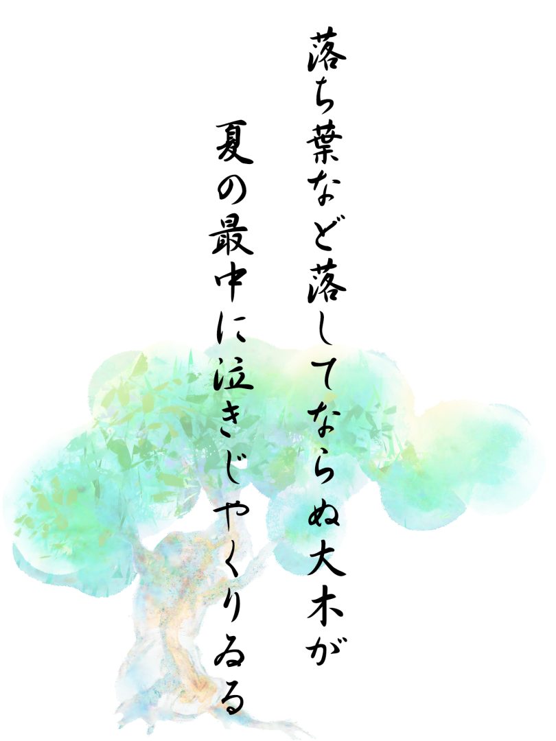 落ち葉など落してならぬ大木が 夏の最中に泣きじやくりゐる