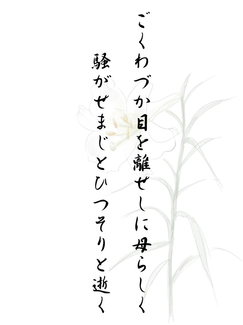 ごくわづか目を離せしに母らしく 騒がせまじとひつそりと逝く