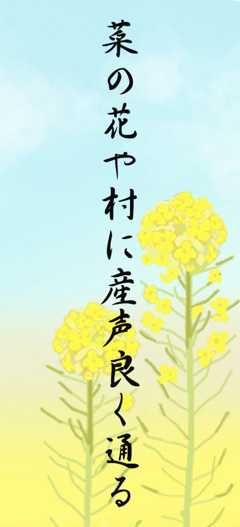 菜の花や村に産声良く通る