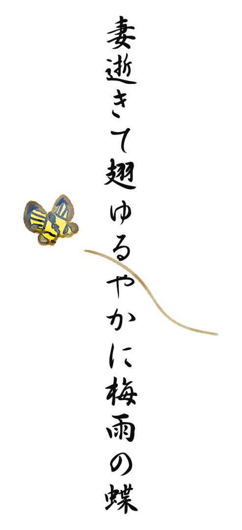 妻逝きて翅ゆるやかに梅雨の蝶