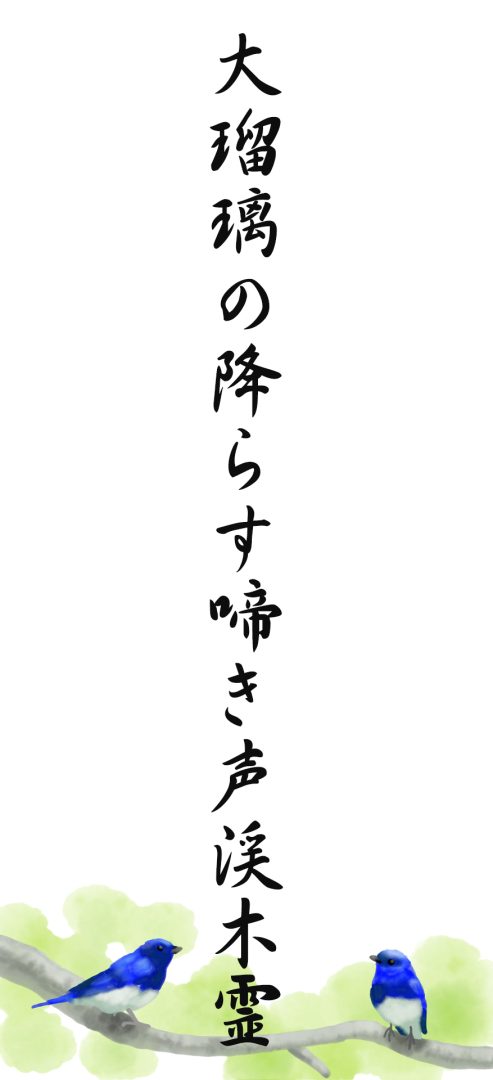 大瑠璃の降らす啼き声渓木霊