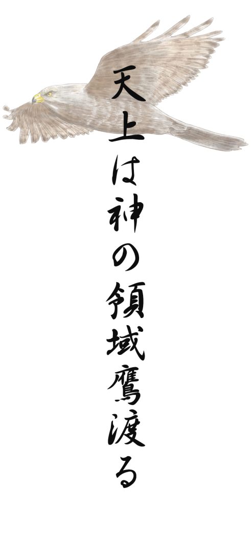 天上は神の領域鷹渡る