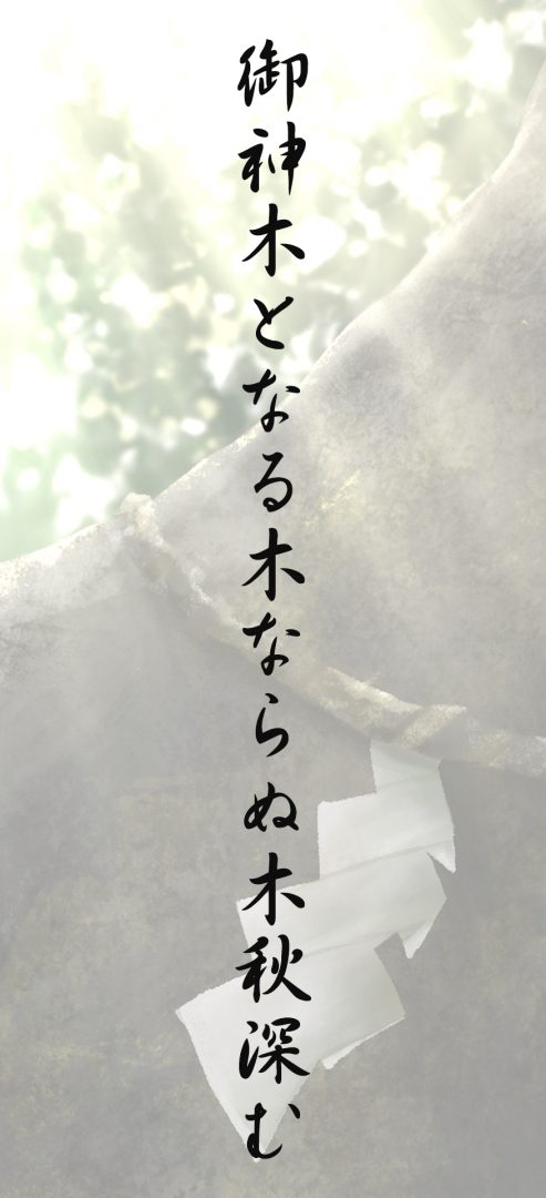 御神木となる木ならぬ木秋深む