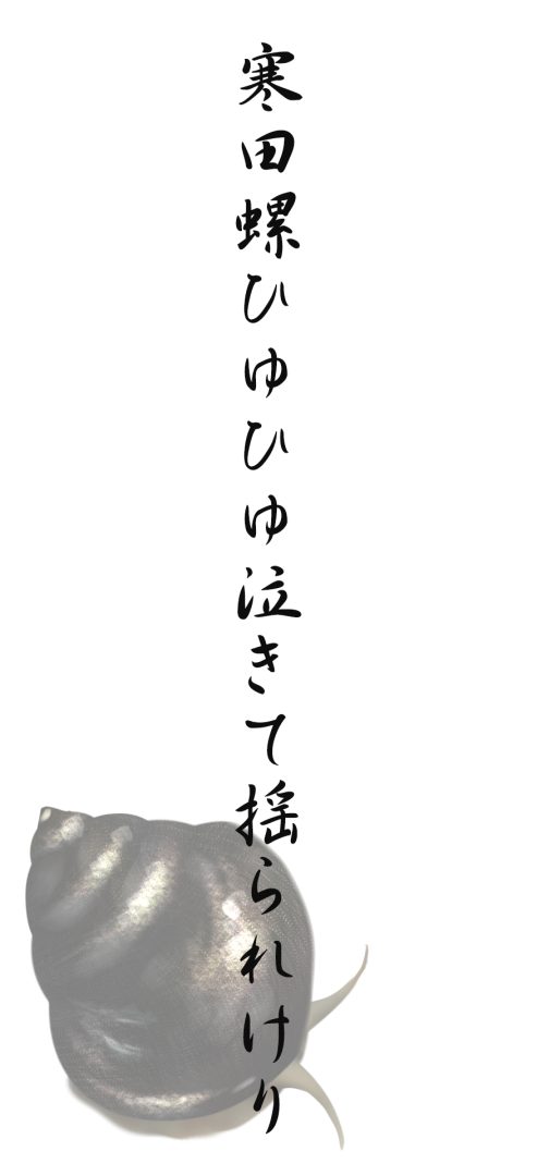 寒田螺ひゆひゆ泣きて揺られけり