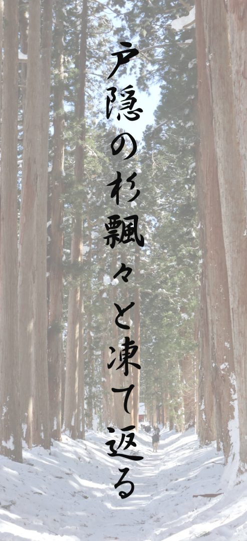 戸隠の杉飄々と凍て返る