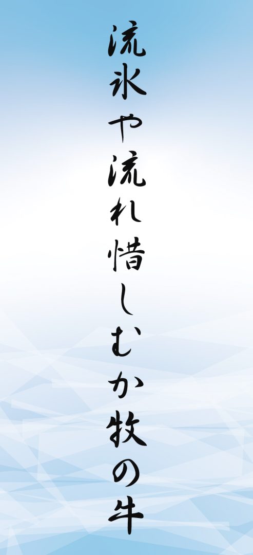 流氷や流れ惜しむか牧の牛