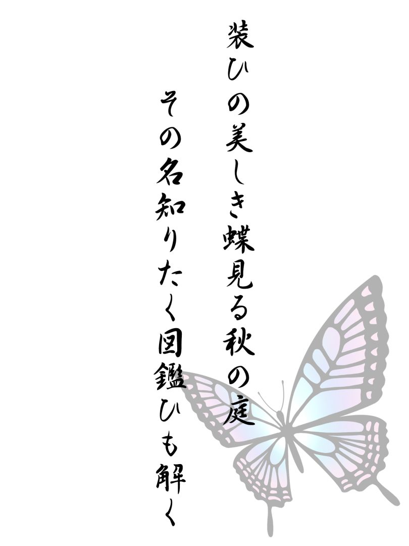 装ひの美しき蝶見る秋の庭 その名知りたく図鑑ひも解く