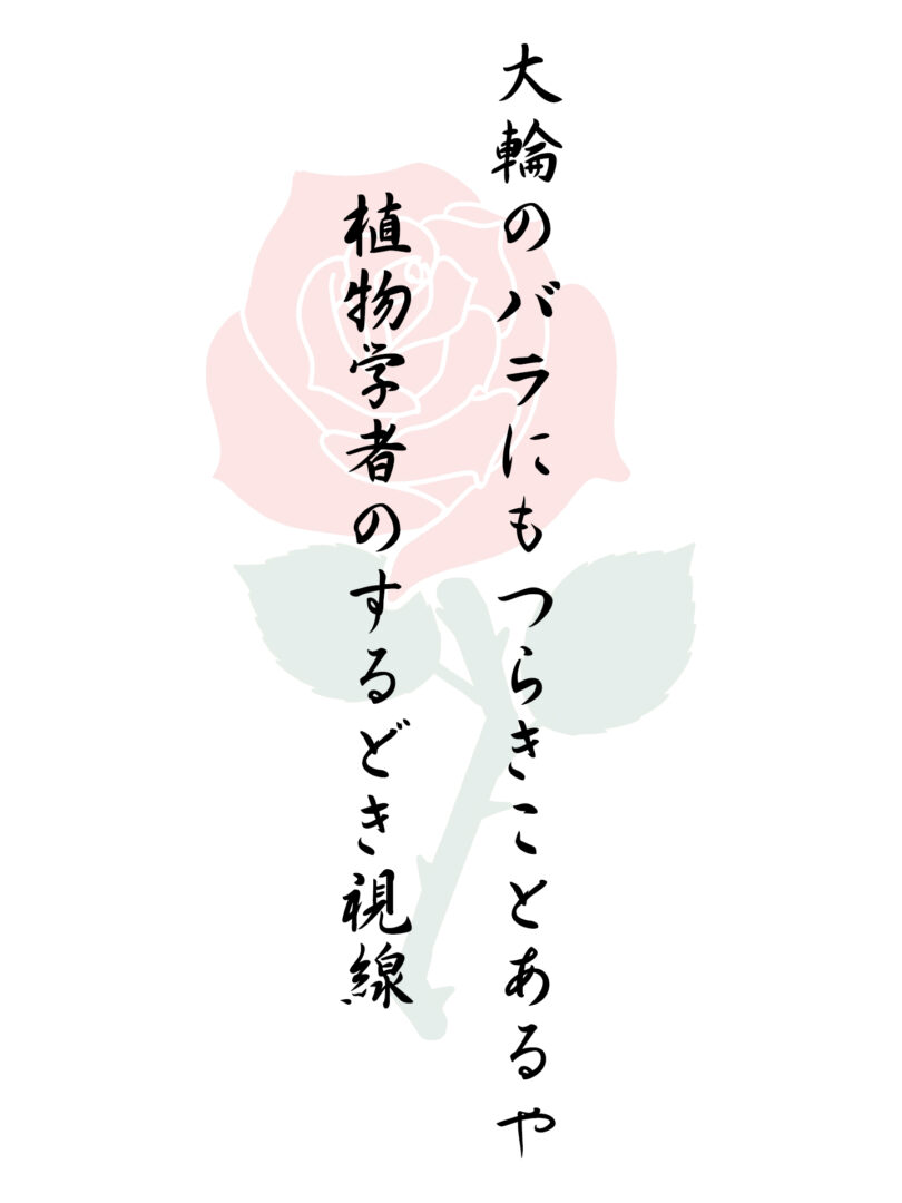 大輪のバラにもつらきことあるや 植物学者のするどき視線