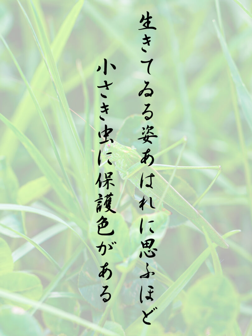 生きてゐる姿あはれに思ふほど 小さき虫に保護色がある