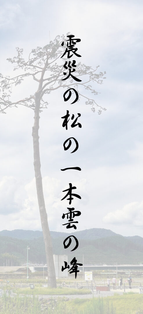 震災の松の一本雲の峰
