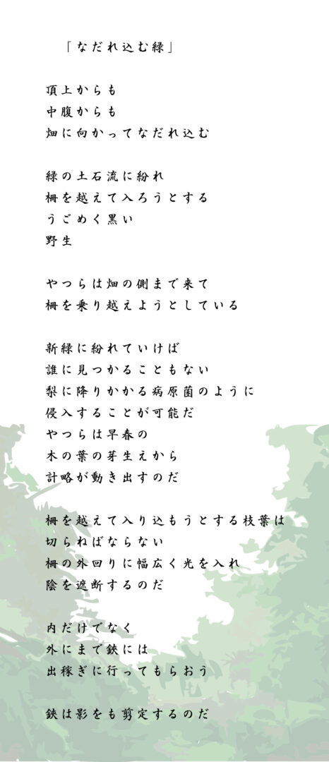なだれ込む緑