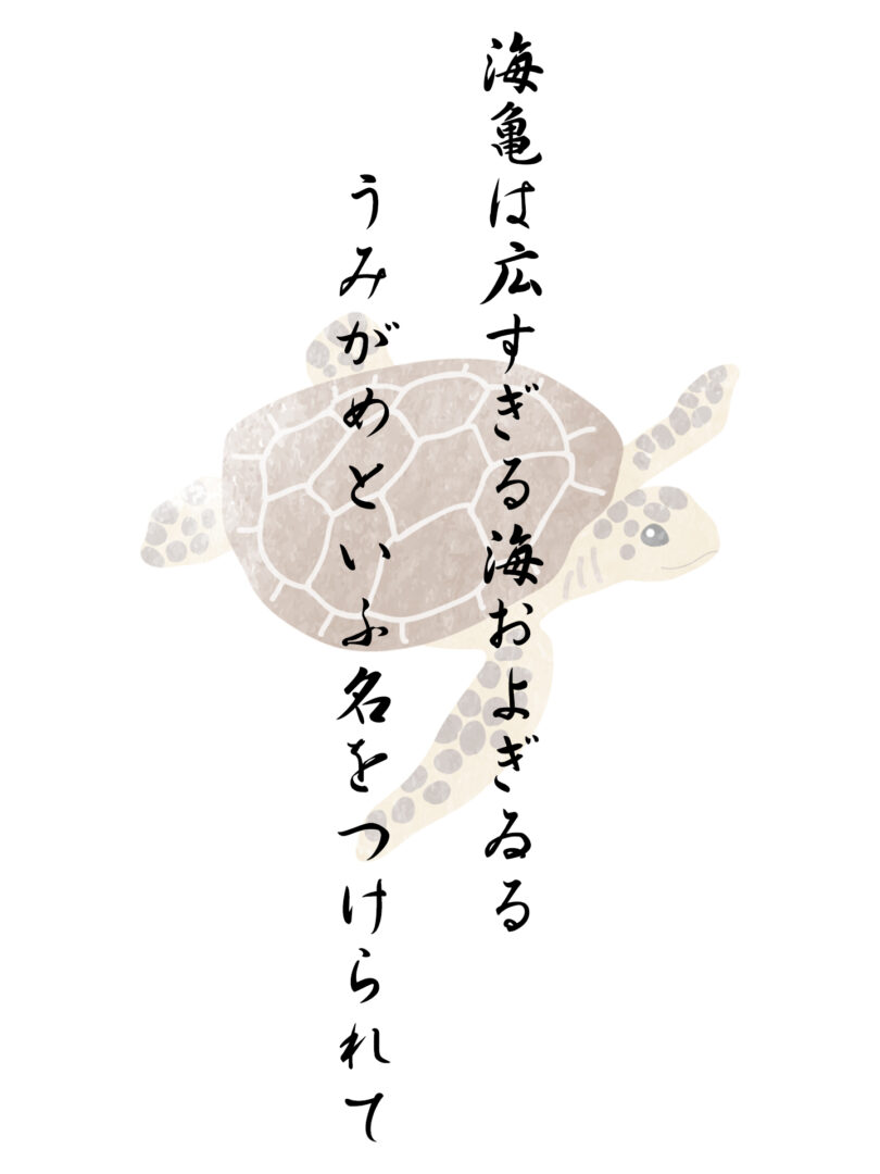 海亀は広すぎる海およぎゐる うみがめといふ名をつけられて