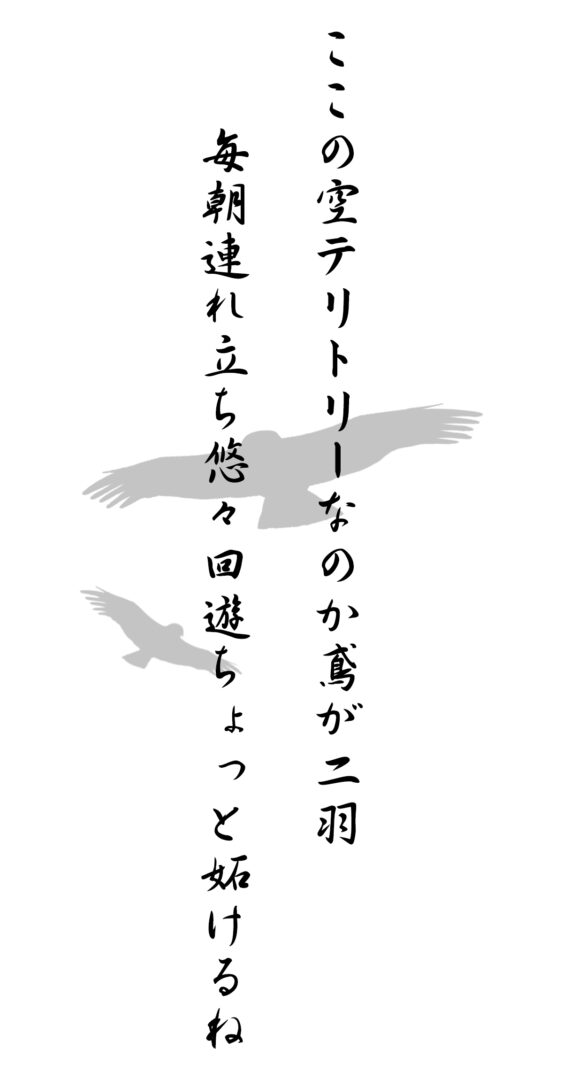 ここの空テリトリーなのか鳶が二羽 毎朝連れ立ち悠々回遊ちょっと妬けるね