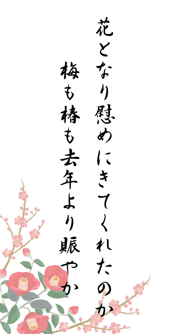 花となり慰めにきてくれたのか 梅も椿も去年より賑やか