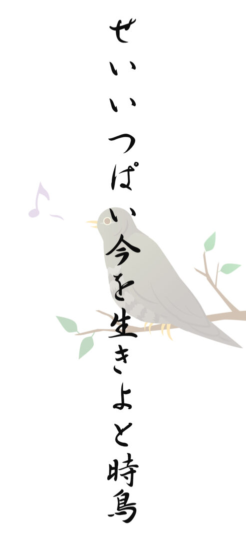 せいいつぱい今を生きよと時鳥