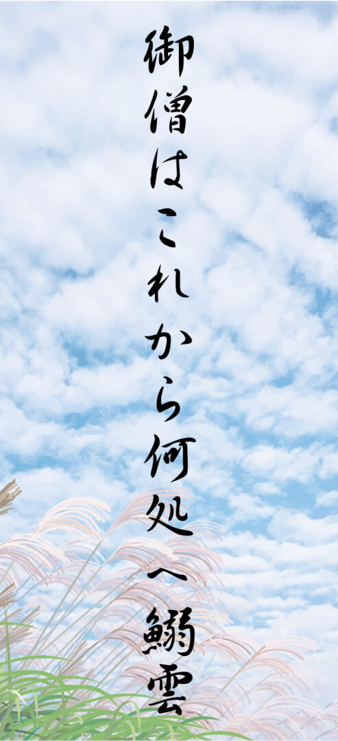 御僧はこれから何処へ鰯雲