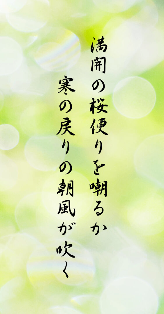 満開の桜便りを嘲るか 寒の戻りの朝風が吹く