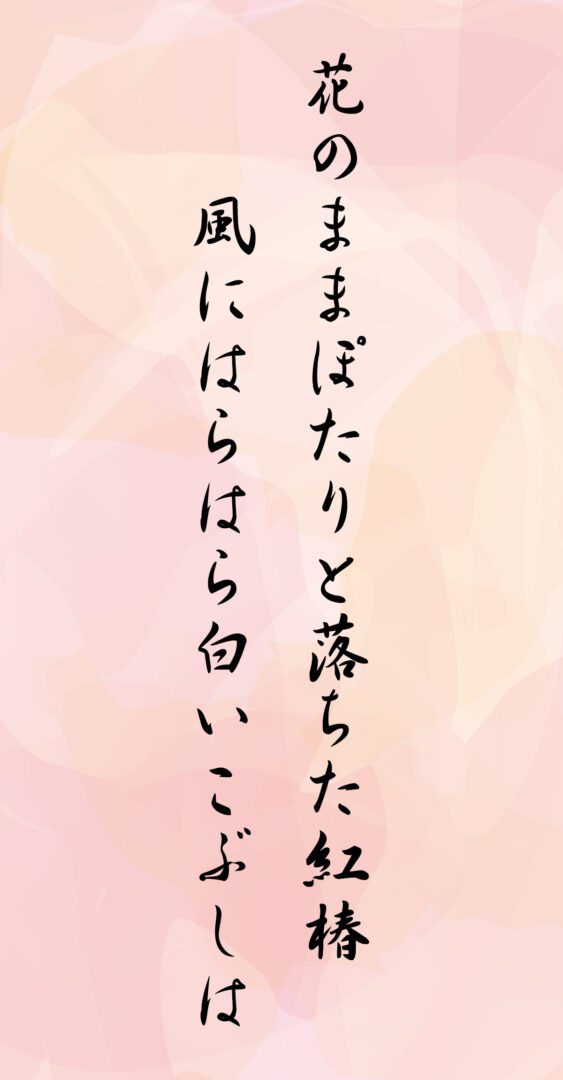 花のままぽたりと落ちた紅椿 風にはらはら白いこぶしは