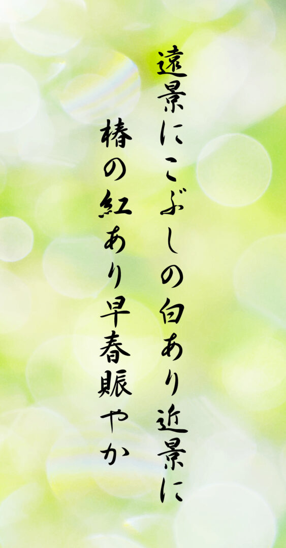 遠景にこぶしの白あり近景に 椿の紅あり早春賑やか