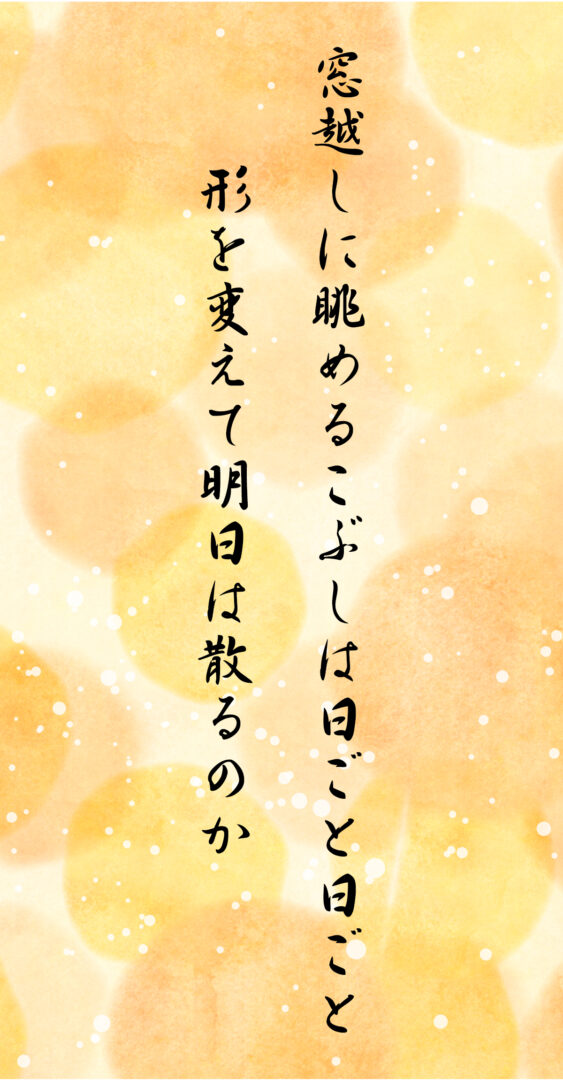 窓越しに眺めるこぶしは日ごと日ごと 形を変えて明日は散るのか