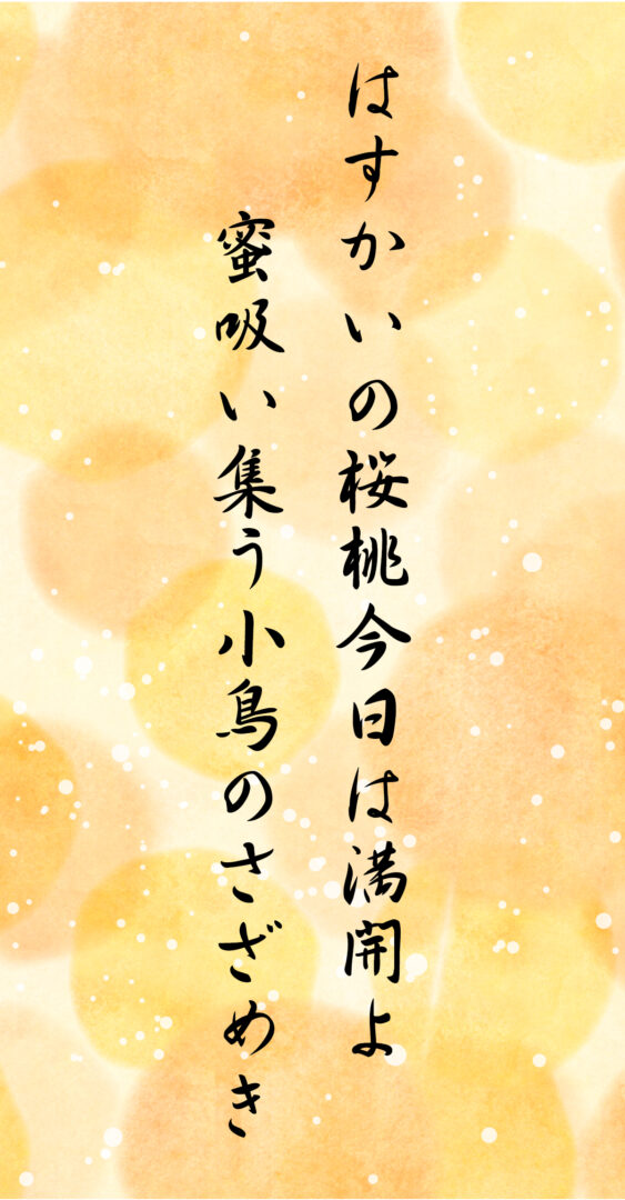 はすかいの桜桃今日は満開よ 蜜吸い集う小鳥のさざめき