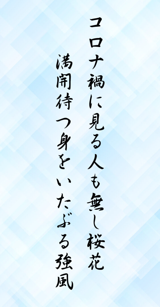 コロナ禍に見る人も無し桜花 満開待つ身をいたぶる強風