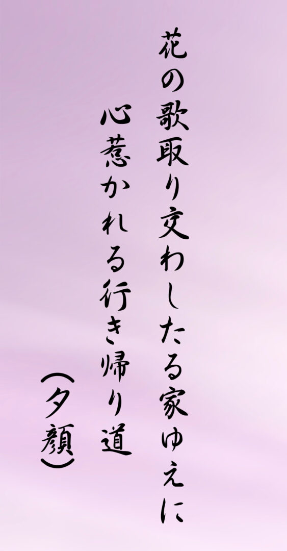 花の歌取り交わしたる家ゆえに 心惹かれる行き帰り道(夕顔)