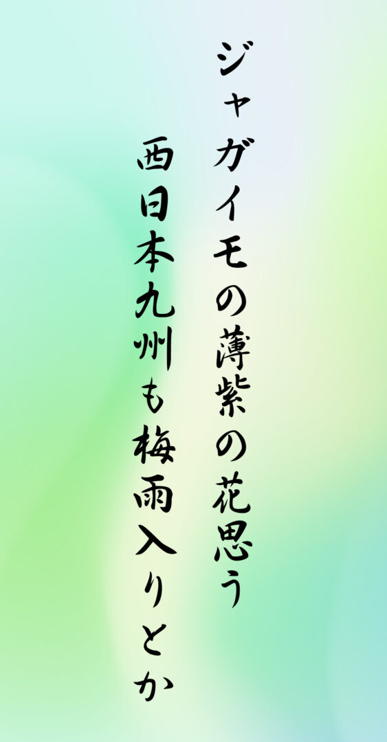ジャガイモの薄紫の花思う 西日本九州も梅雨入りとか